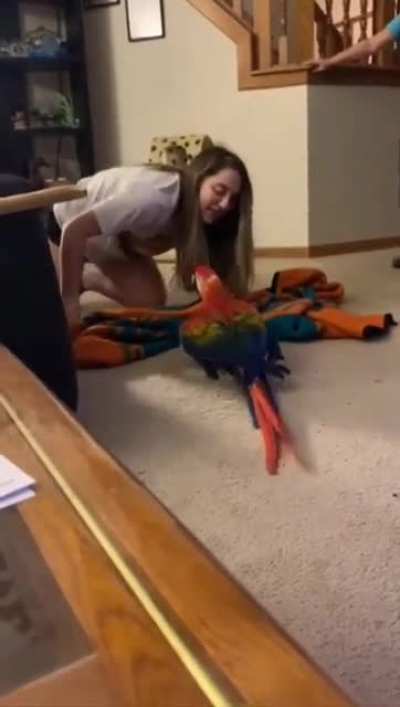 She's devastated.