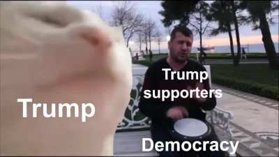 democracy