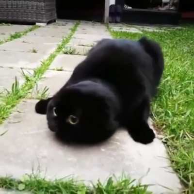Fuzzy seal
