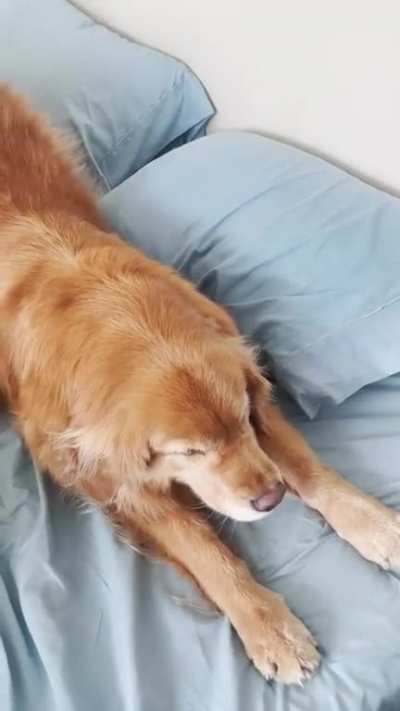 Every morning…