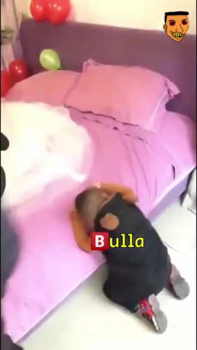 Sed