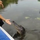 Good boy