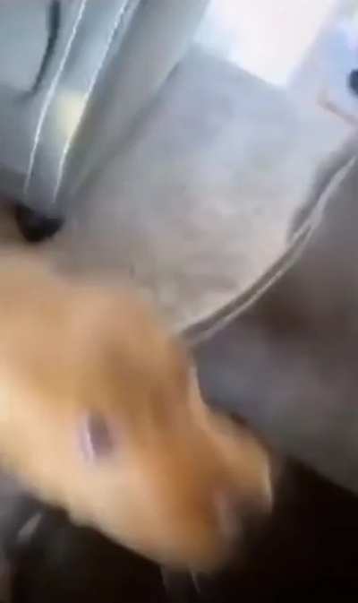 NO!