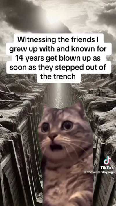 Imagine showing this video to a WW1 Vet