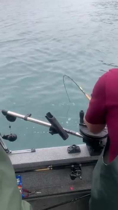 [Alaska] I thought we were just fishing for salmo<wbr>n....<wbr>guess I was wrong