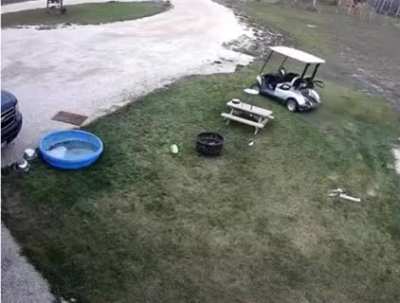 After their car was hit by golf cart, they checked the security camera footage