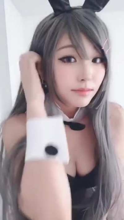Bunny
