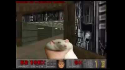 rat gmaing