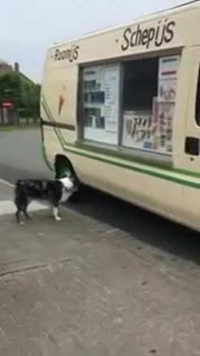 He makes a special stop to see his dog bro