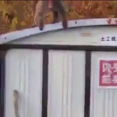 Maybe maybe maybe