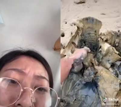 Tiktok fuck