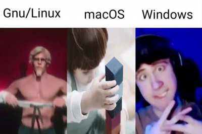 MEME EVOLUTION