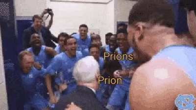 Pesky prions