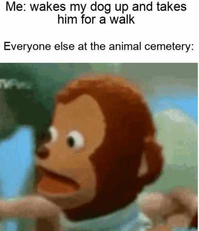 *visible confusion*