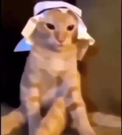 تمتص قضيبي