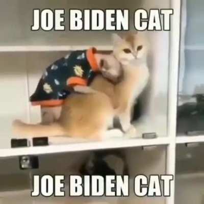 Come on man