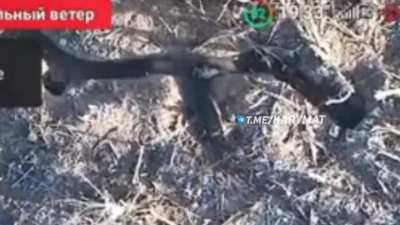 Wrong turn proves to be fatal for russian invader as he runs right into Ukrainian grenade