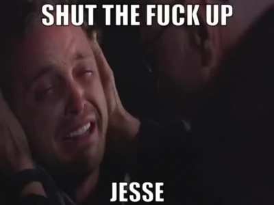 This is fucking amazing. Team Jesse and Gus all the way😎