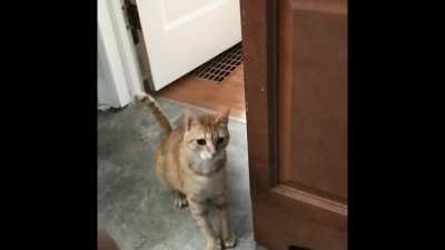 miss butter is so afraid of the bathroom... if you make any movement, she flies away 😆