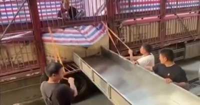 to unload the eels