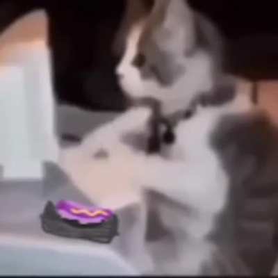 Yo