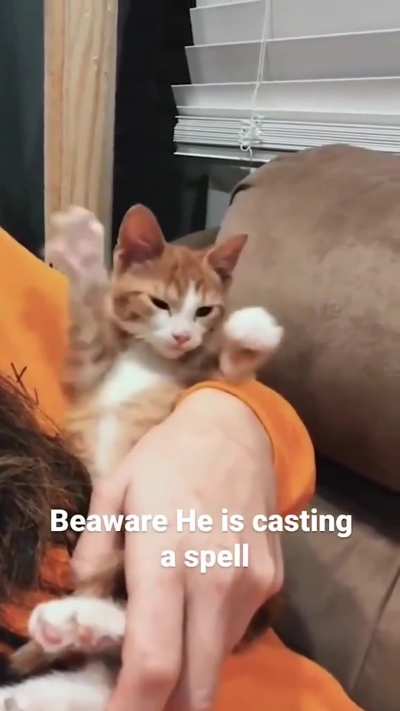 He's trying his best