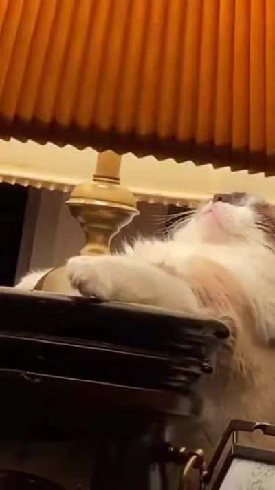 So warm