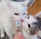 Im hungry!