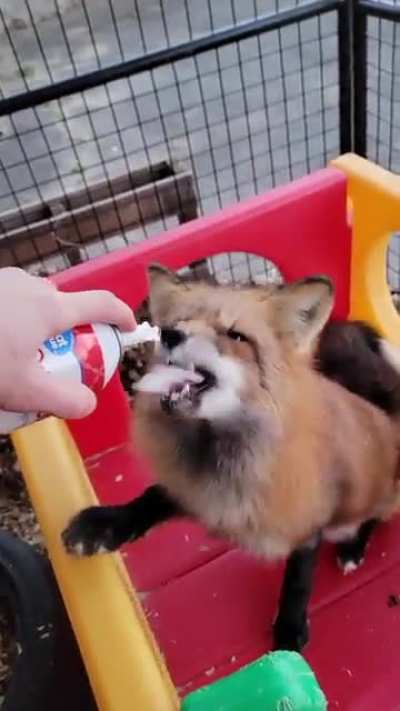 A special treat