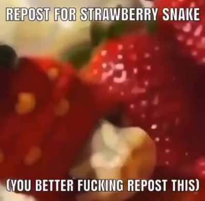 do it now this is not a request this is a threat