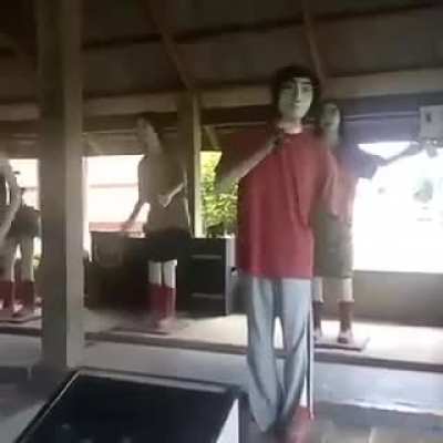These dancing robots
