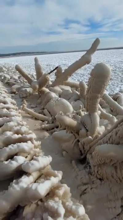 Anyone wanna see some more Ice dicks?