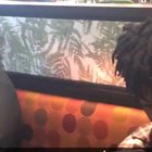 Never forget when Carti got catfished