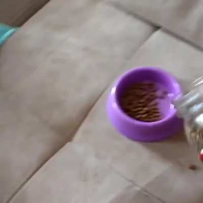Time for breakfast