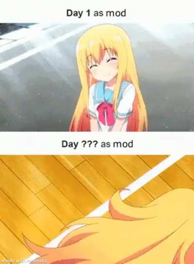 r/goodanimemes mods is this how y’all really feel