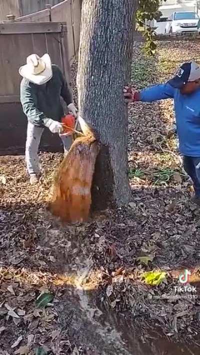 Почти берёз<wbr>овый сок