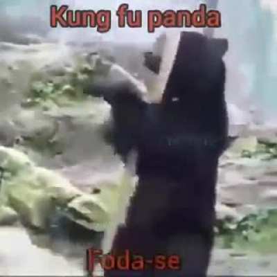 King Fu panda q não é panda