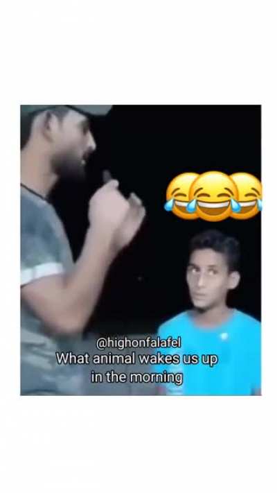I don’t know what to say