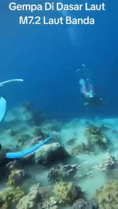 7.2 Magnitude Earthquake as seen underwater.