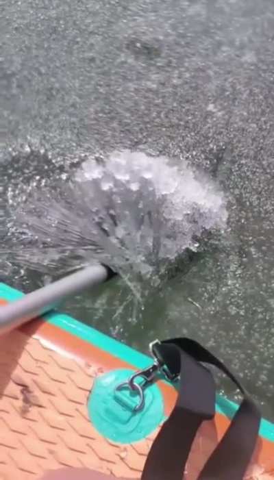 Water just before freezing solid