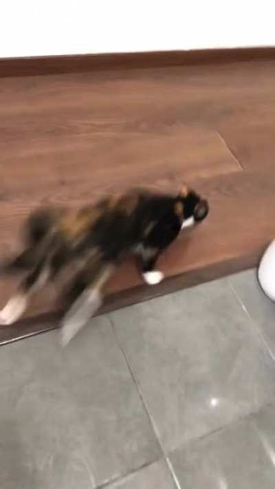 to run away