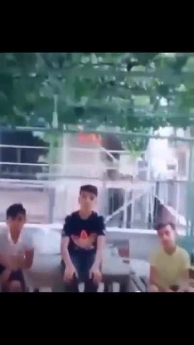 Elbet bri gnü