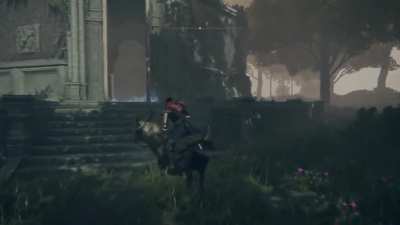 Do not disrespect the no-horse zone