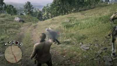 This about sums up my experience playing RDR2 for the first time