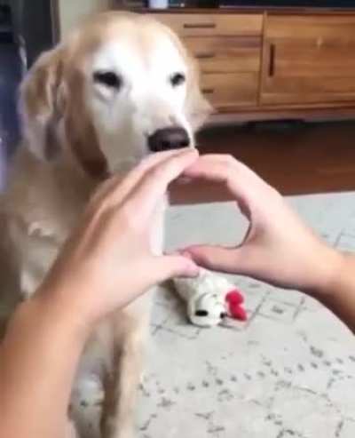 He tried so hard and the result was even cuter