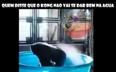 Ding Dong está a banhar, não atrapalhe