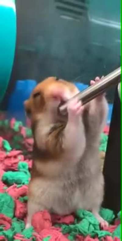 Hmmmm?..........