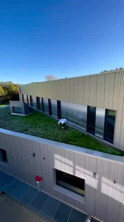 Huge Rooftop Gap