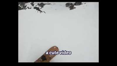 Why is this his favorite video?