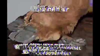 rule